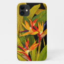 Pesquisar por pássaro capas Floral