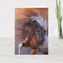 Pesquisar por pinto horse cartoes Equine