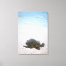 Pesquisar por transparente impressão de canvas Vertical