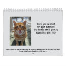 Pesquisar por gatos calendarios Animais engraçados