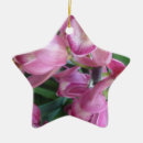 Pesquisar por flor da orquídea ornamentos Natureza