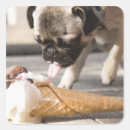 Pesquisar por close up adesivos Comida