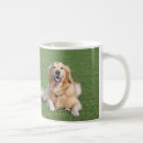 Pesquisar por golden retriever canecas Foto