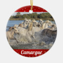 Pesquisar por wild ornamentos Cavalos