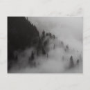 Pesquisar por logan Montana