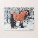 Pesquisar por cavalo cigano fotos Cavalos