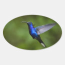 Pesquisar por hummingbird adesivos Animais