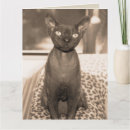 Pesquisar por sepia cartoes Animais