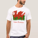 Pesquisar por st david camisetas Wales