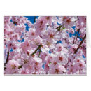 Pesquisar por flor de cerejeira cartoes Flores de primavera