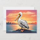 Pesquisar por pelicanos brancos cartoes postais Pássaro