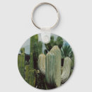Pesquisar por tucson chaveiros Saguaro