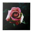 Pesquisar por pintado azulejos Natureza