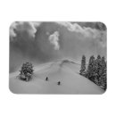 Pesquisar por gestão imas Danita delimont