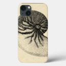 Pesquisar por seashell Shells