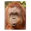 Pesquisar por macaco selvagem animais cadernos de notas Fofofo