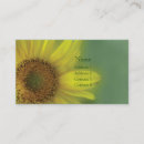 Pesquisar por marrom amarelo cartao de visita Fotografia