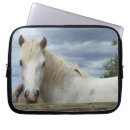 Pesquisar por cavalo branco capas Fazenda