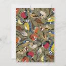 Pesquisar por teta cartoes Aves