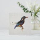 Pesquisar por kingfisher cartoes Animal