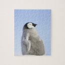 Pesquisar por pinguim quebra cabecas Animal