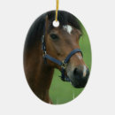 Pesquisar por árabes ornamentos Eqüino