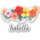 Pesquisar por hawaii artesanato material Ilha