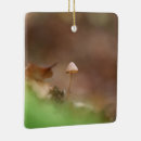 Pesquisar por fungos ornamentos Banheira