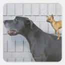 Pesquisar por great dane adesivos Humor