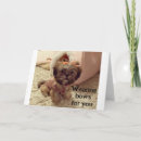 Pesquisar por trabalho aniversario cartoes Cão