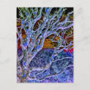 Pesquisar por árvore espiritual cartoes postais Árvores