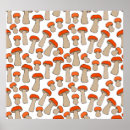 Pesquisar por cogumelos vermelhos pôsteres Ilustração