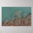 Pesquisar por drone pôsteres Água