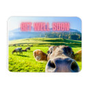 Pesquisar por vaca engraçada imas Fotografia