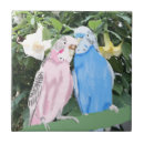 Pesquisar por anjos azulejos Colorido