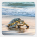 Pesquisar por molhado adesivos Praia