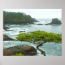 Pesquisar por oceano pôsteres Destinos do viagem