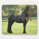 Pesquisar por cavalo preto Equino