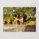 Pesquisar por lourdes cartoes postais Jesus