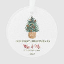 Pesquisar por pine cone ornamentos Neve