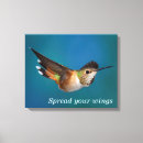 Pesquisar por colibri impressão de canvas Pássaros e flores