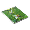 Pesquisar por orquídea bloco de notas Natureza