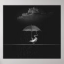 Pesquisar por sapo preto pôsteres Anfíbio