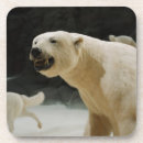 Pesquisar por urso polar porta copos Natureza