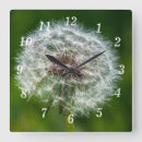 Pesquisar por ervas daninhas relogios de parede Flores