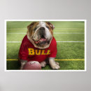 Pesquisar por bulldog pósteres pôsteres Qualquer pessoa