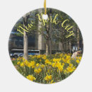Pesquisar por primavera ornamentos Daffodilo