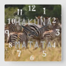 Pesquisar por do da zebra relogios de parede Qualquer pessoa