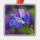 Pesquisar por tronco de árvore ornamentos Verde