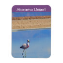 Pesquisar por atacama imas Deserto